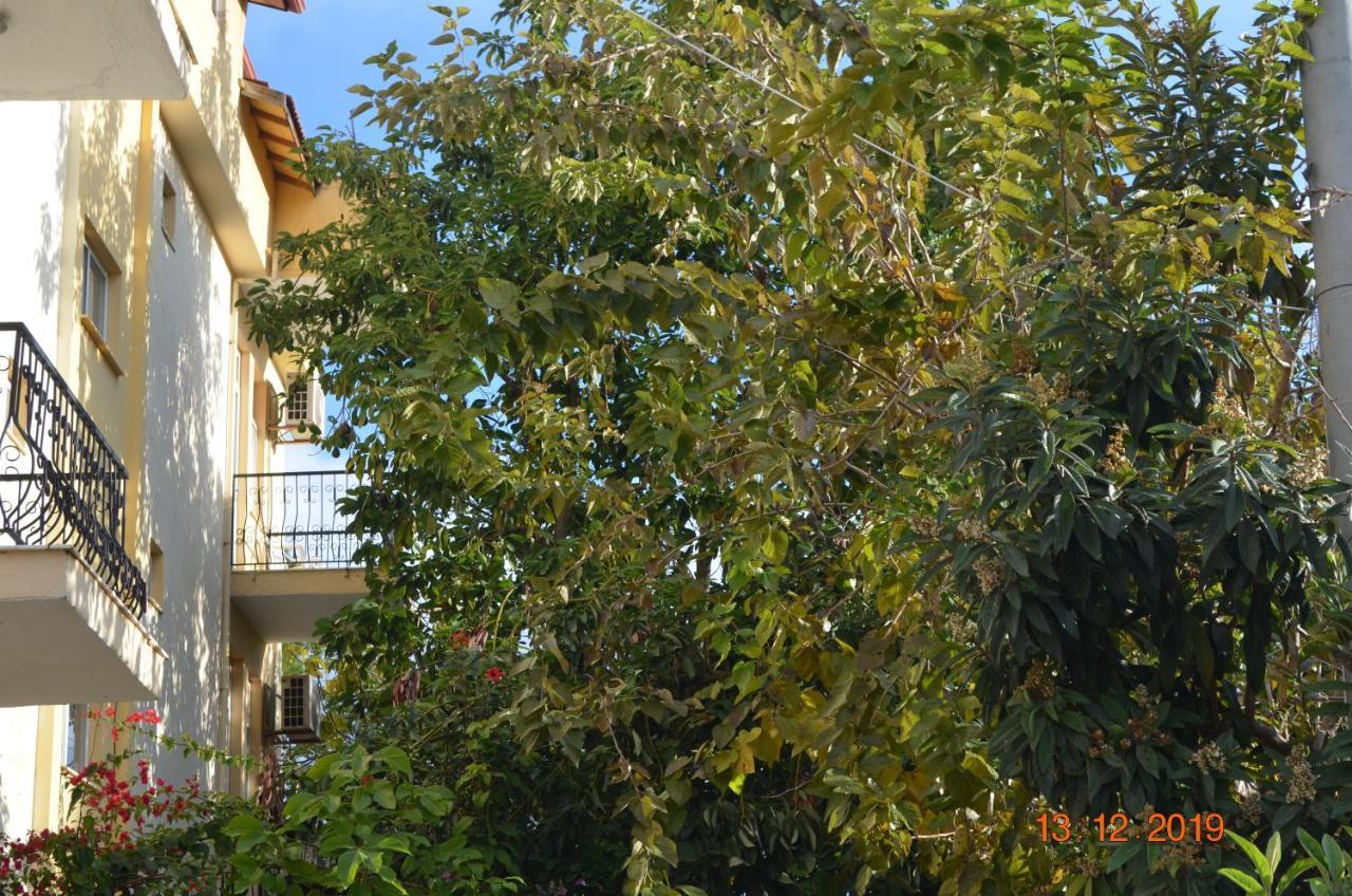 Hotel Uygar Fethiye Exterior photo